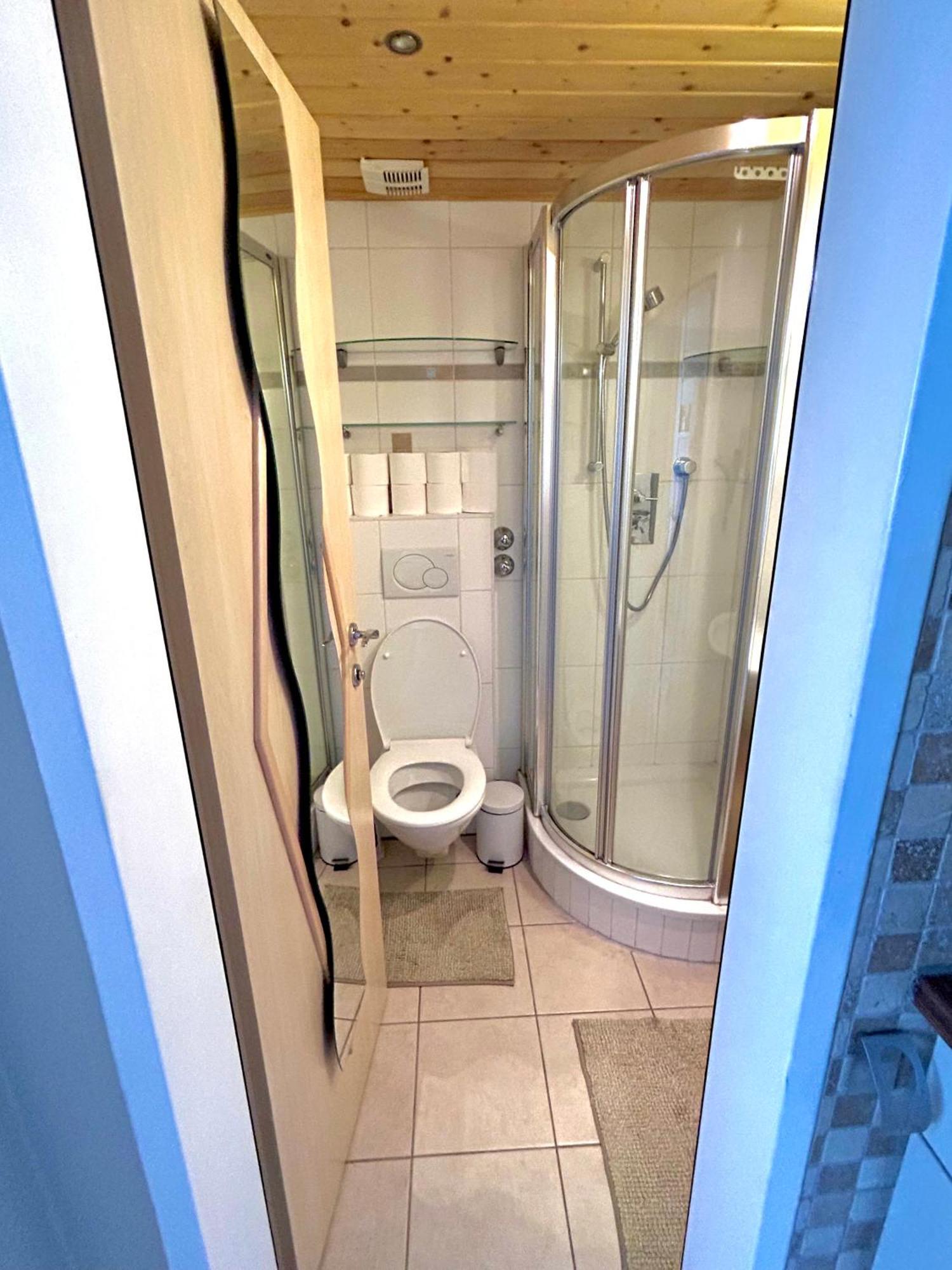 Alpine Apartment Schladming Mit Sauna Und Pool Bagian luar foto